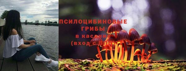 стаф Кукмор