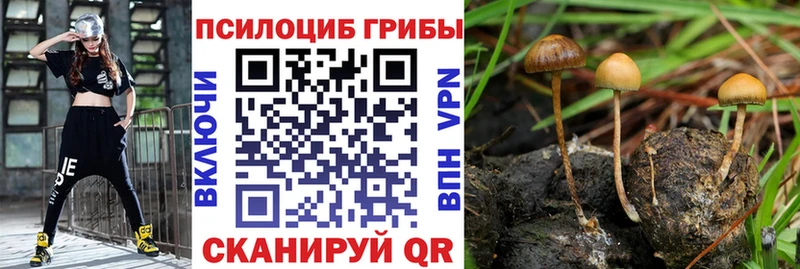 Купить где  Байкальск  Псилоцибиновые грибы Magic Shrooms 